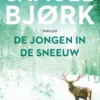 De jongen in de sneeuw