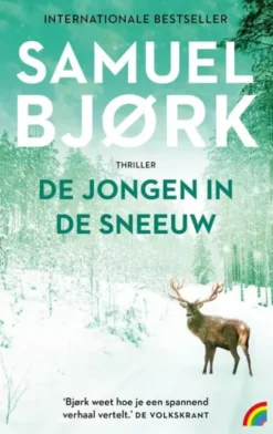 De jongen in de sneeuw