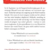 De jongens van Nickel
