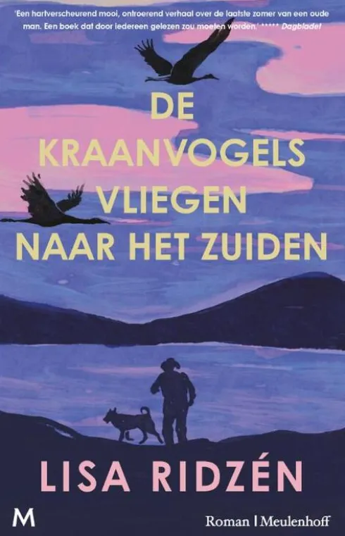 De kraanvogels vliegen naar het zuiden