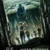 De labyrintrenner