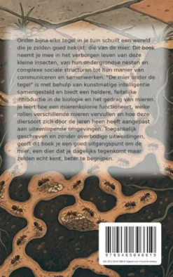 De mier onder de tegel