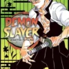 Demon Slayer: Kimetsu no Yaiba, Vol. 17