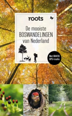 De mooiste boswandelingen van Nederland
