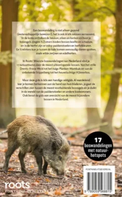 De mooiste boswandelingen van Nederland