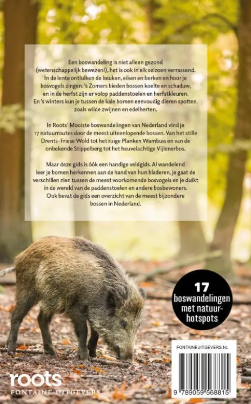 De mooiste boswandelingen van Nederland