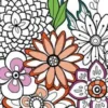 De mooiste kleurboekenleggers om in te kleuren - Bloemen