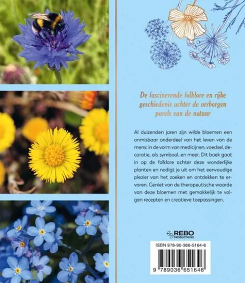 De natuurlijke apotheek wilde bloemen