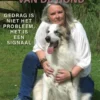 De psychologie van de hond