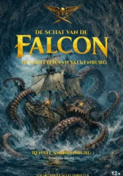 De schat van de Falcon