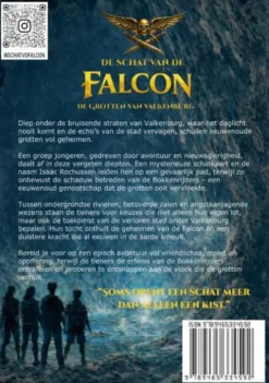 De schat van de Falcon