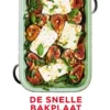 De snelle bakplaat