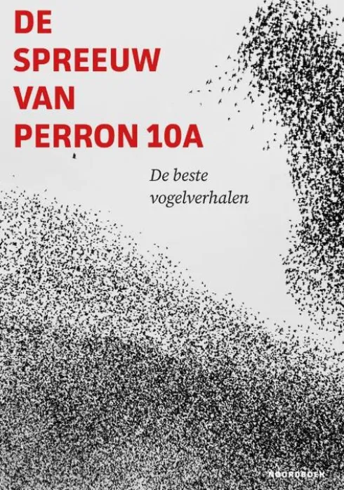 De spreeuw van perron 10A