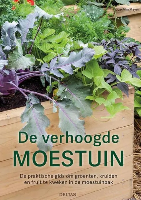 De verhoogde moestuin