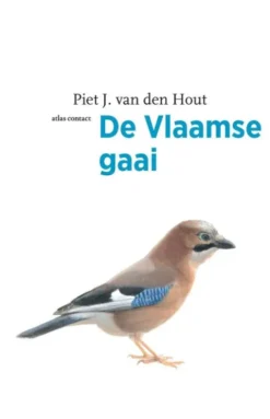 De Vlaamse gaai