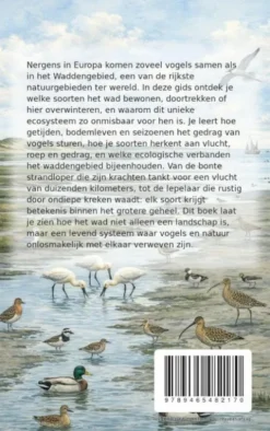 De Vogels van de Wadden