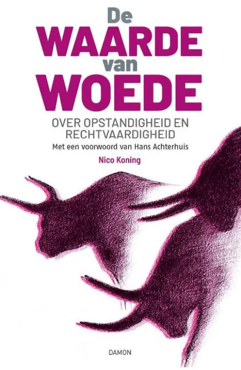 De waarde van woede