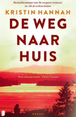 De weg naar huis