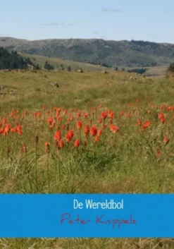 De wereldbol
