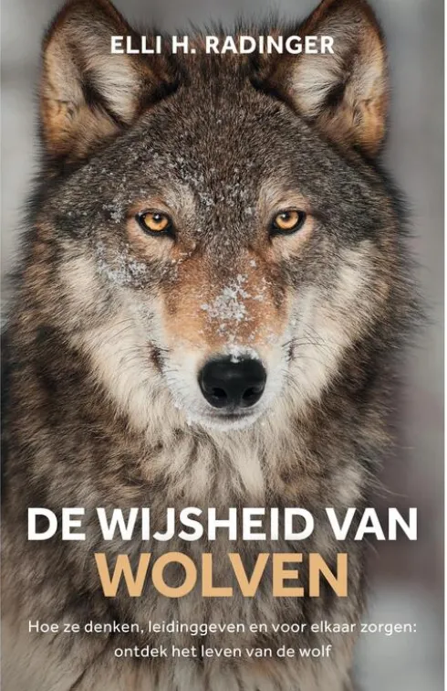 De wijsheid van wolven