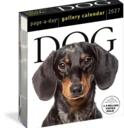 Dog Page-A-Day® Gallery Calendar 2027