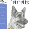 Dogs and Puppies