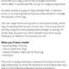 Dog Training for Beginners & Dummies