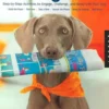101 Dog Tricks