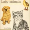 Draw Baby Animals