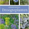 Droogteplanten