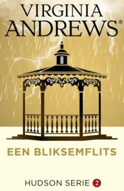 Een bliksemflits