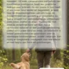 Een gelukkige hond grootbrengen