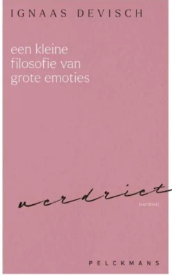 Een kleine filosofie van grote emoties: Verdriet