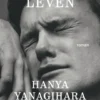 Een klein leven