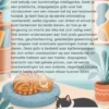 Een tweede kat erbij