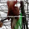Een zachte koelte