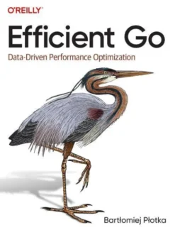 Efficient Go