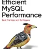 Efficient MySQL Performance