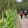 E.H.W.V. De Jutter Fotoboek deel 1 Archief