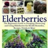 Elderberries: The Beginner's Guide to Foraging, Preserving and Using Elderberries for Health Remedies, Recipes, Drinks & More