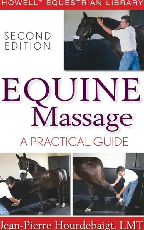 Equine Massage