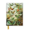 Ernst Haeckel: Hummingbirds (Foiled Pocket Journal)
