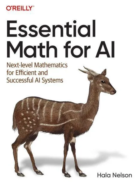 Essential Math for AI