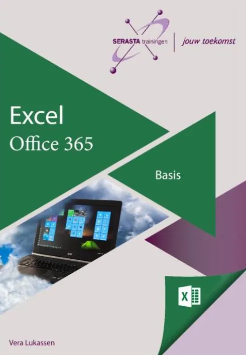 Excel 365 Basis