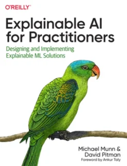 Explainable AI for Practitioners
