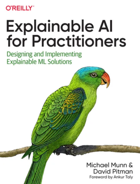 Explainable AI for Practitioners