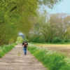 Falk Regiokaart Twente-Noord / Dinkelland