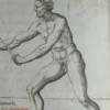 Fencing
