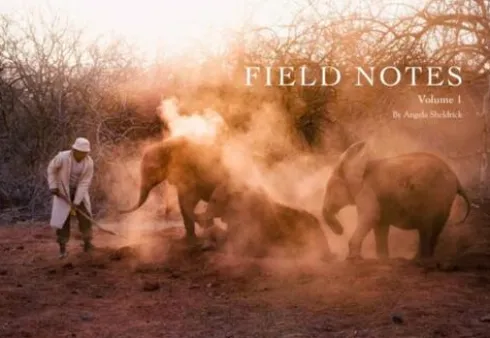 Field Notes