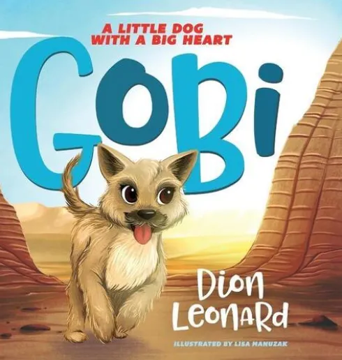 Finding Gobi